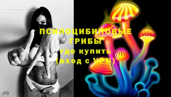 мет Пестово