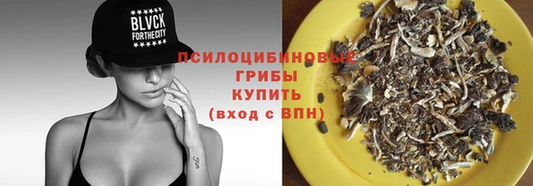 mix Пересвет