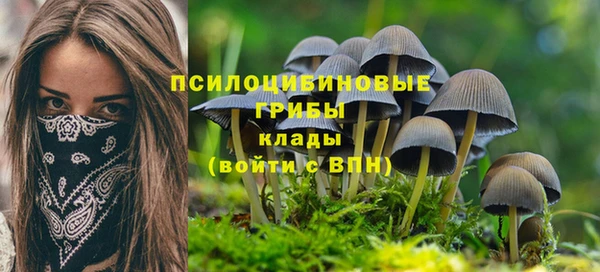 мет Пестово
