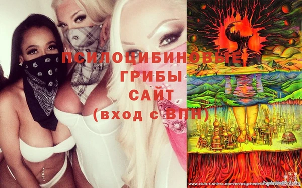 mix Пересвет