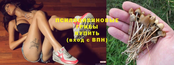 мет Пестово
