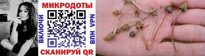 Псилоцибиновые грибы Cubensis  Купить  Кольчугино 